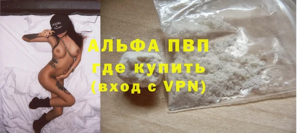 мдпв Ладушкин