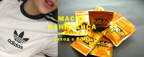 мдпв Ладушкин