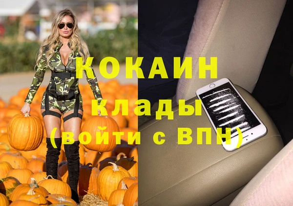мдпв Ладушкин