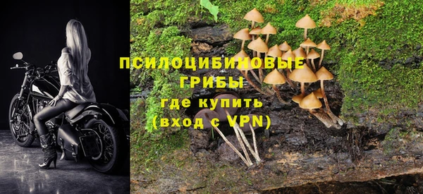 экстази Лиски