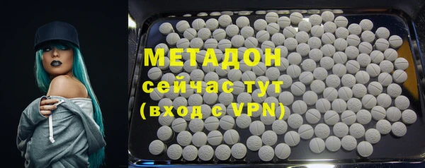 мдпв Ладушкин