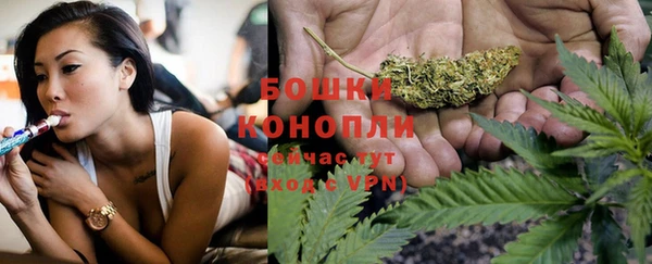 эйфоретик Липки