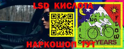 a pvp Камышлов