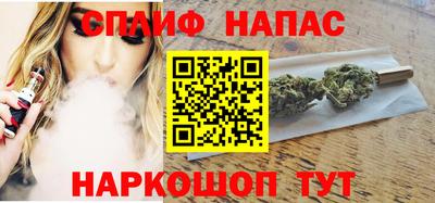 a pvp Камышлов