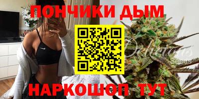 a pvp Камышлов