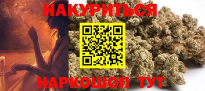 a pvp Камышлов