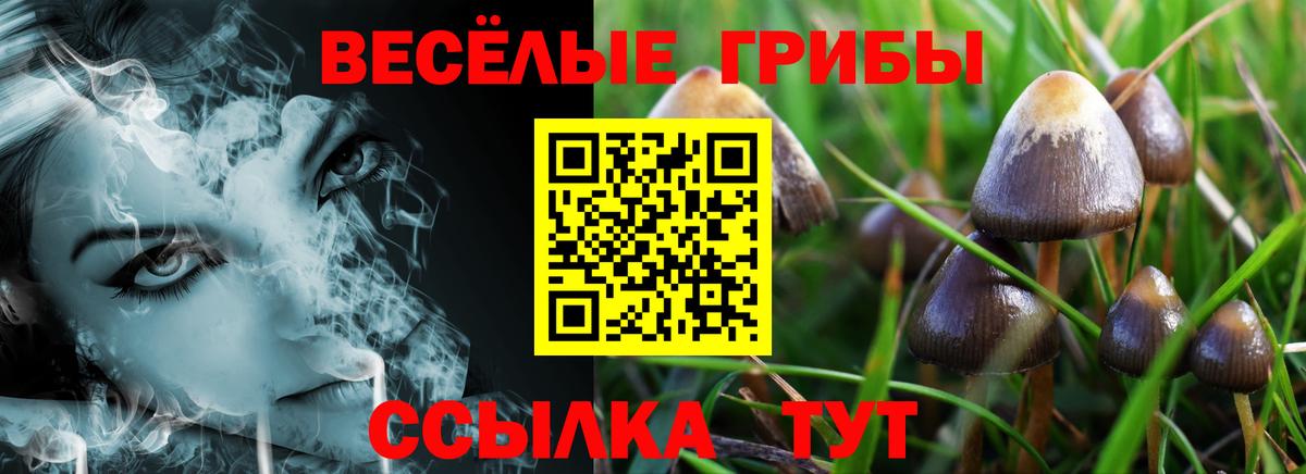 Галлюциногенные грибы MAGIC MUSHROOMS Арзамас
