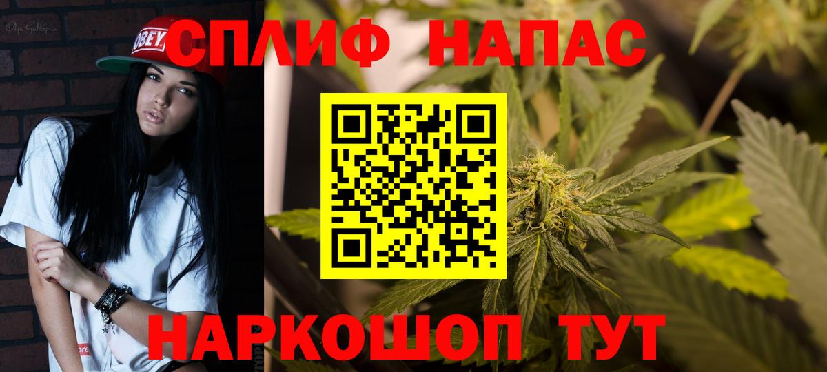 Конопля конопля  Бошки Шишки ГИДРОПОН  Арзамас  Вход с VPN 